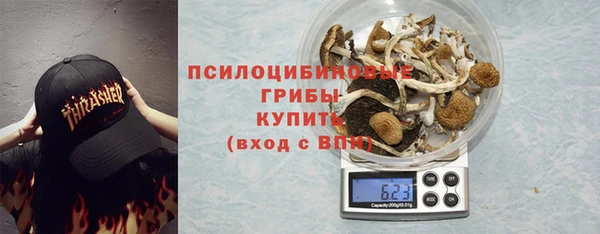 a pvp Володарск