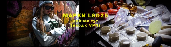 PSILOCYBIN Волосово
