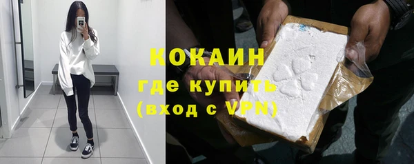 PSILOCYBIN Волосово