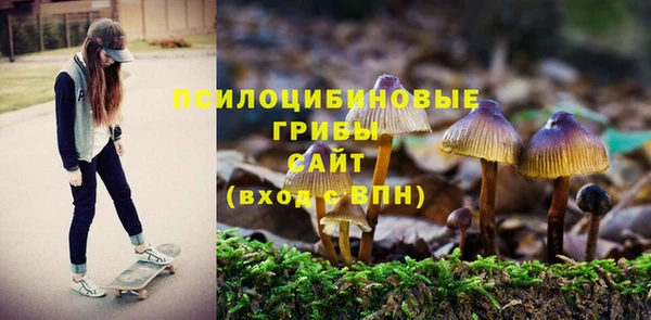 PSILOCYBIN Волосово