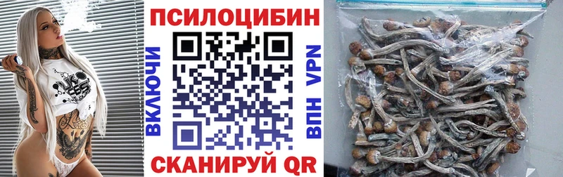 Псилоцибиновые грибы мухоморы  Яхрома 